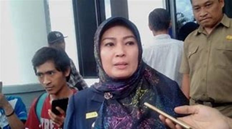 Penyebab Banjir di Pandeglang tidak hanya diakibatkan oleh tingginya intensitas hujan