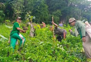 Desa Gunung Gijul di Lampura pertahan kelestarian pohon