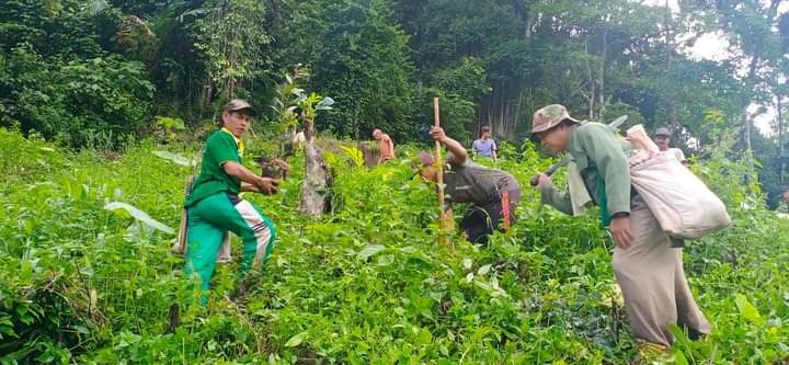 Desa Gunung Gijul di Lampura pertahan kelestarian pohon