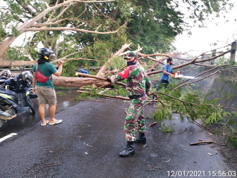 Sertu When Shen memonitor dan membantu Membersihkan pohon tumbang