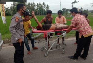 Pengendara Sepada Motor di Lamsel Kritis Tertimpa Pohon Tumbang