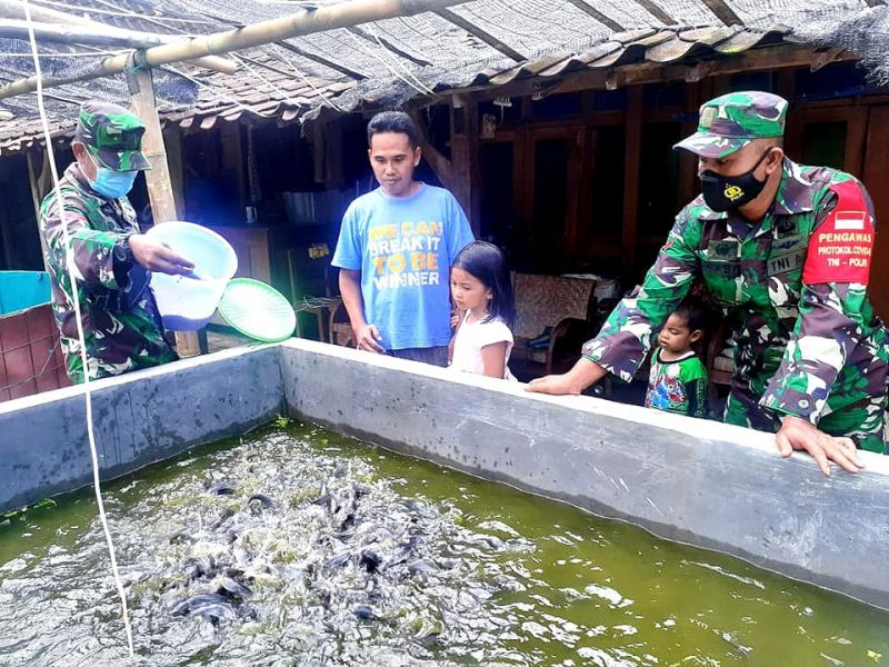 Peran Babinsa Nogosari Dalam Hal Ketahanan Pangan Di Wilayahnya