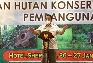 Soroti Pentingnya Pelestarian Hutan di Lampung, Gubernur Arinal Ajak Swasta dan Masyarakat Jaga Keanekaragaman Hayati secara Berkelanjutan