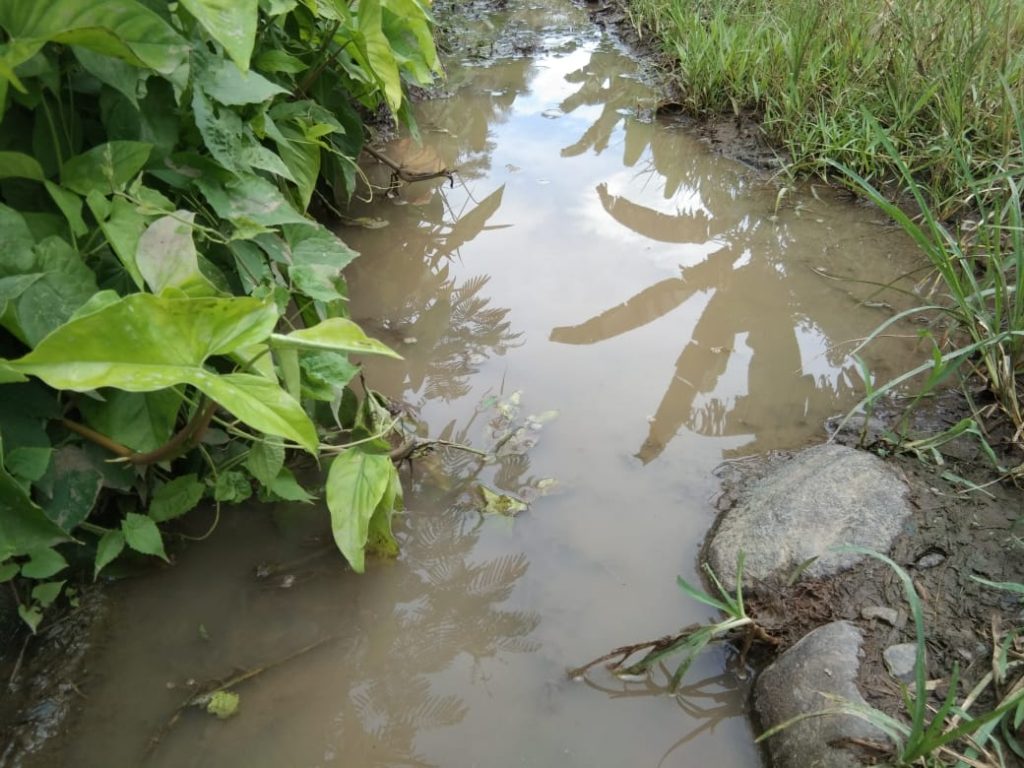 Jalan Bak Kolam Lele Warga Pekon Tanjung Agung Harapkan Perbaikan