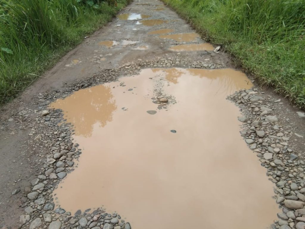 Jalan Bak Kolam Lele Warga Pekon Tanjung Agung Harapkan Perbaikan