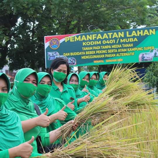 Kodim 0401 Muba Menggelar Panen Raya Komoditi Padi