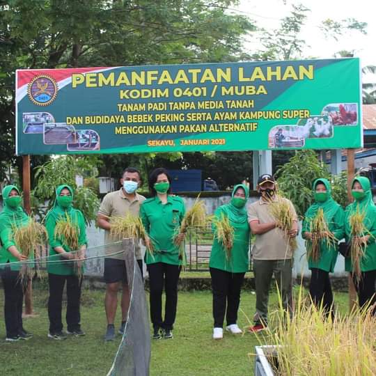 Kodim 0401 Muba Menggelar Panen Raya Komoditi Padi