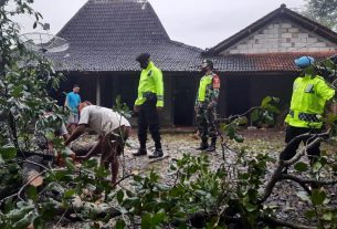 15 Rumah Warga Rusak Diakibatkan Oleh Angin Putting Beliung Di Desa Rejosari