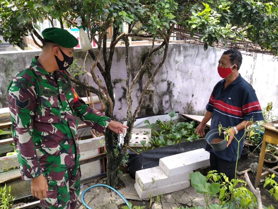 Dengan Cara Serbuan Teritorial Babinsa Joyotakan Sambangi Bubidaya Lele