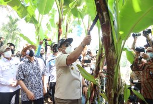 Gubernur Arinal Dampingi Kunjungan kerja 2 Menteri di Kabupaten Tanggamus