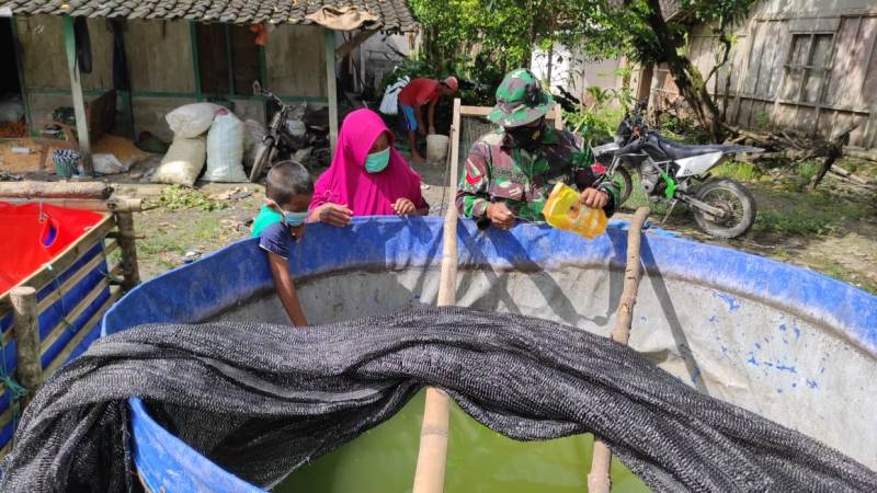 Inovatif, Satgas TMMD 110 Bojonegoro Dorong Pembudidaya Lele Terpal