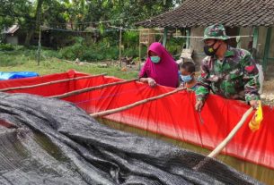 Dukung UMKM, Satgas TMMD 110 Bojonegoro Berbagi Ilmu Dengan Pembudidaya Lele