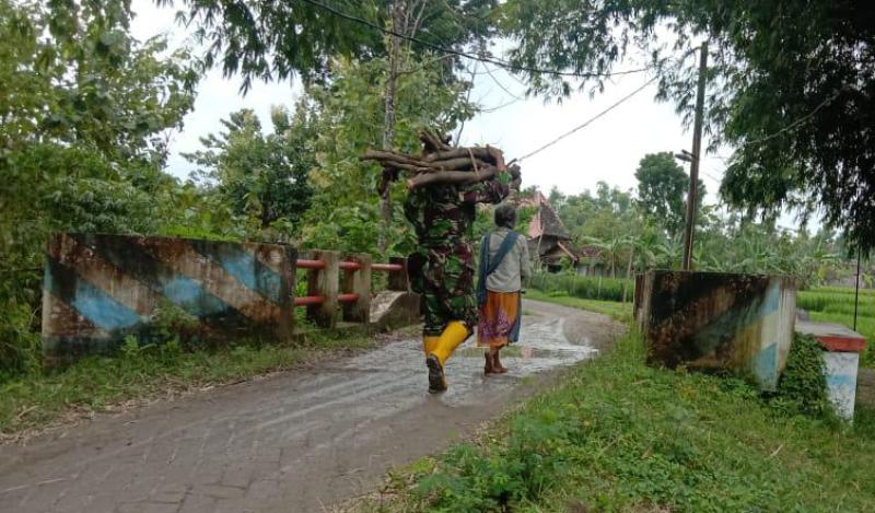 Satgas TMMD 110 Kodim Bojonegoro Bantu Pikul Kayu Bakar Milik Mbah Darmi