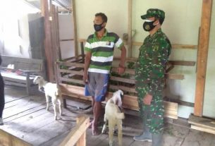 Satgas TMMD 110 Bojonegoro Belajar Cara Menggemukkan Kambing