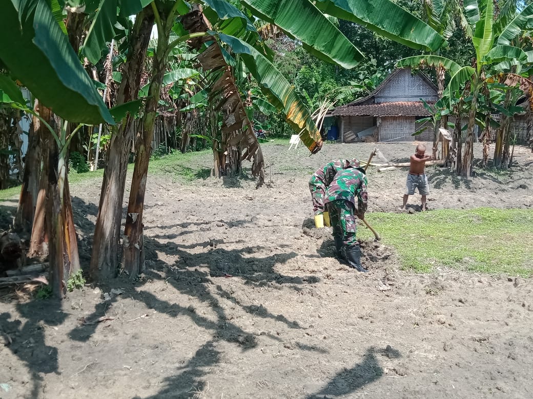 Anggota TMMD 110 Bojonegoro Di Jatimulyo Bantu Warga Bercocok Tanam