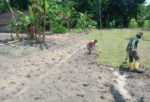 Manfaatkan Lahan Kosong, Satgas TMMD 110 Bojonegoro Ajak Warga Tanam Pohon Pisang