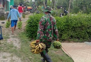 Satgas TMMD 110 Bojonegoro Panen Pisang Bersama Warga