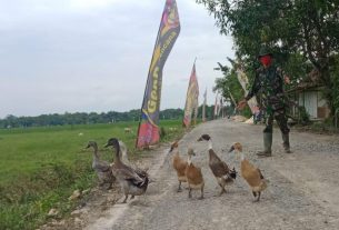 Agar Sehat dan Nyaman, RTLH Aladin Dikerjakan Satgas TMMD Bojonegoro Bareng Warga