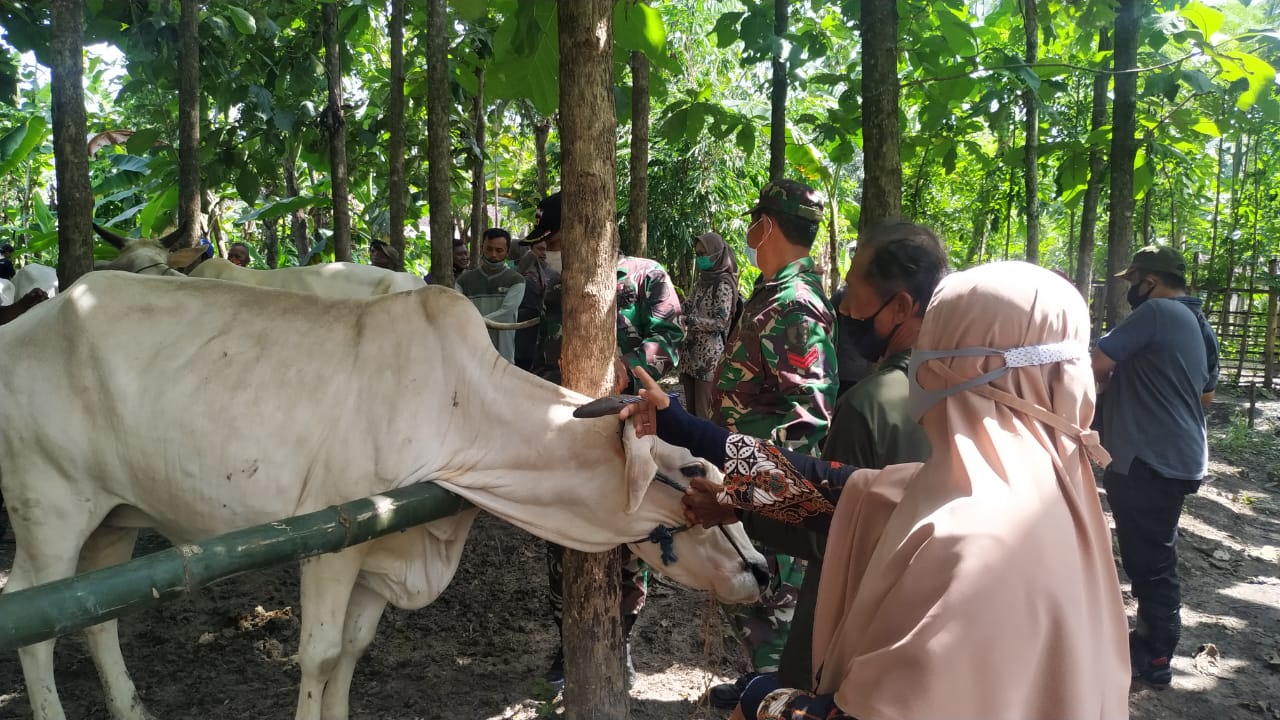 Kawin Suntik Hewan Ternak, Satgas TMMD 110 Bojonegoro Gandeng Dinas Terkait