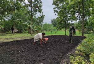 Satgas TMMD Kodim Bojonegoro Bantu Warga Tanam Kacang Tanah