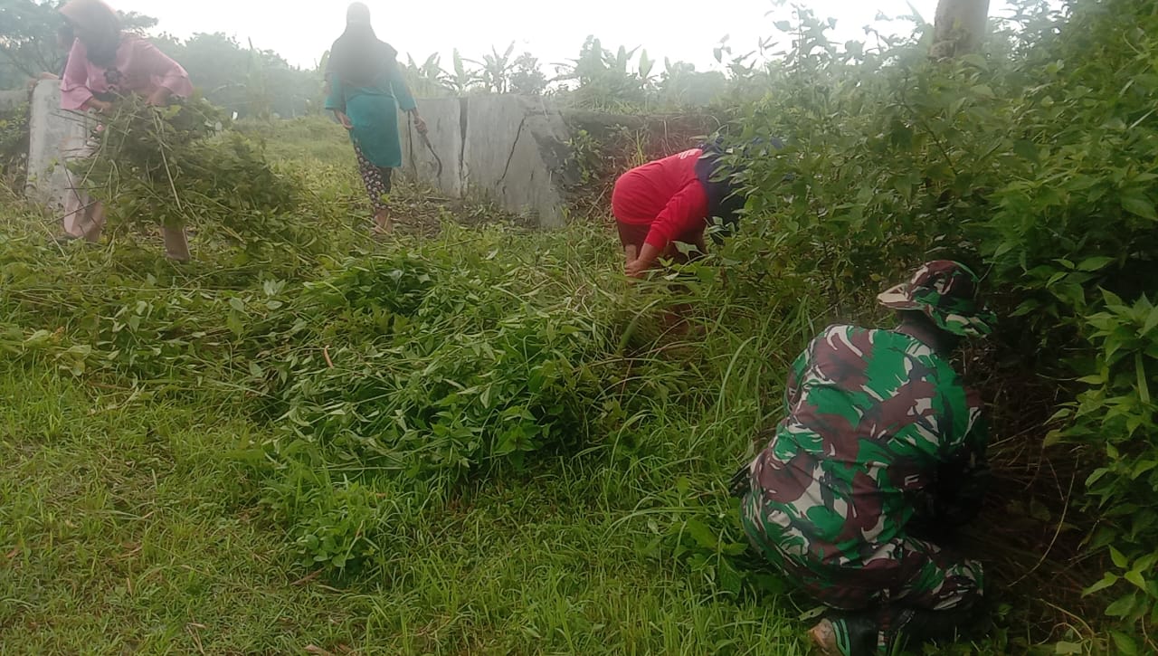 Satgas TMMD Kodim Bojonegoro Di Desa Jatimulyo Bersihkan Embung Desa Bersama Warga