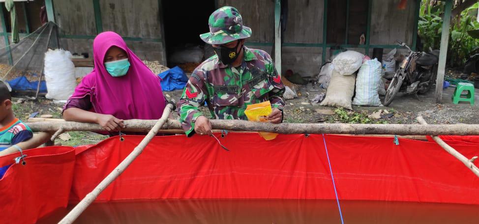 Budidaya Lele Jadi Mata Pencaharian Warga Dilokasi TMMD 110 Bojonegoro