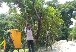 Satgas TMMD Kodim Bojonegoro Panen Buah Kedondong