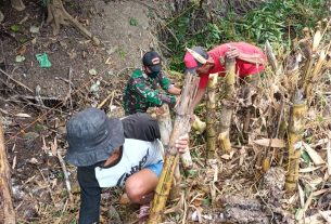 Cegah Banjr, Satgas TMMD Kodim Bojonegoro Bersama Warga Bersih Bersih Sampah Selokan