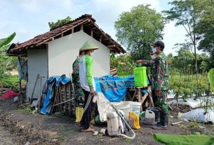 TMMD Kodim Bojonegoro, Satgas Dan Warga Buat Pupuk Organik