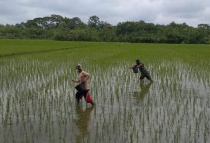 TMMD Kodim Bojonegoro, Upaya Anggota Satgas Dalam Peningkatan Ketahanan Pangan