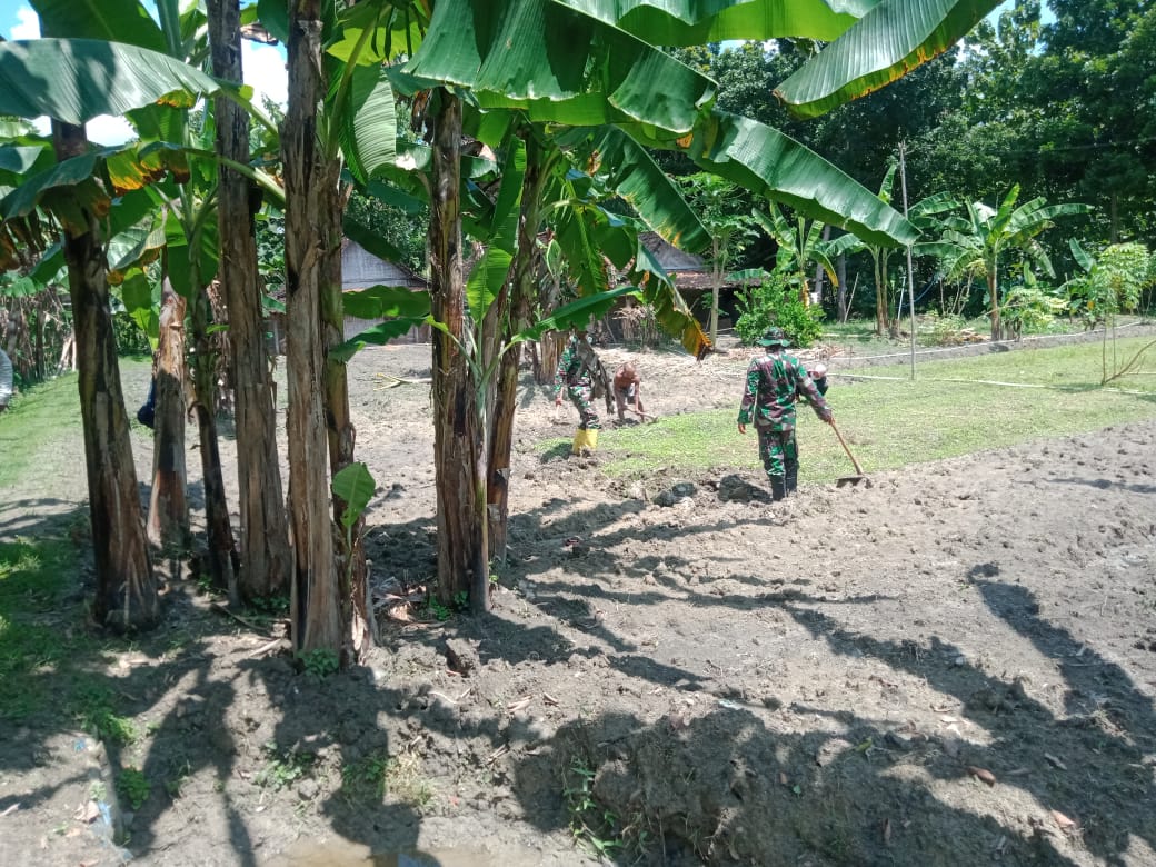 Satgas TMMD Kodim Bojonegoro Bantu Bersih-Bersih Lahan Pertanian Warga