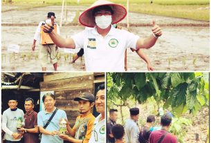 Gak Pakai Lama, Distributor P2O Indonesia Area Sumatera Ujicoba Pupuk Organik di Kebun Kakao Bayas Jaya Pesawaran