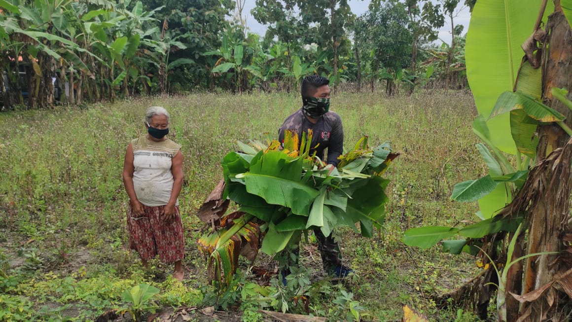 Satuan Tugas TMMD Bojonegoro Bantu Warga Cari Pakan Ternak