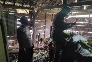 Jalin Kedekatan, Satuan Tugas TMMD Bojonegoro Bantu Mbah Lasinem Pakani Ternak