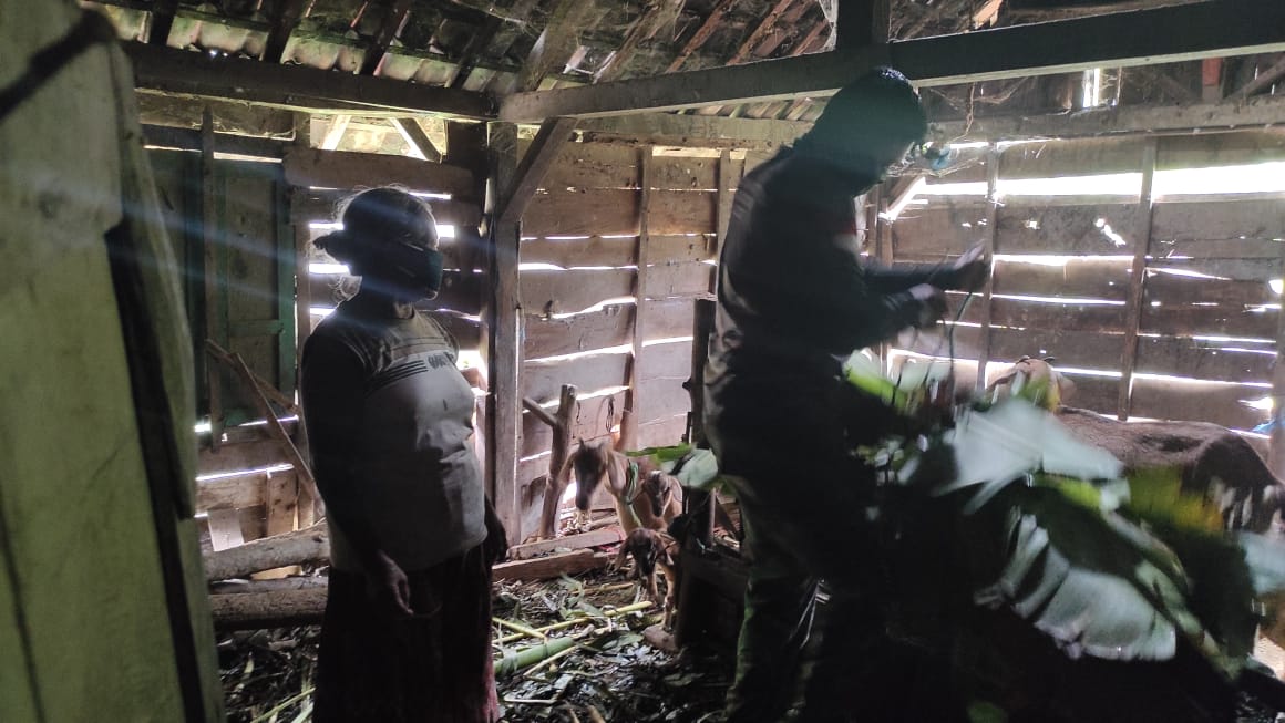 Jalin Kedekatan, Satuan Tugas TMMD Bojonegoro Bantu Mbah Lasinem Pakani Ternak