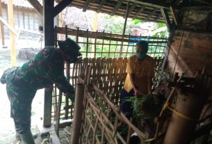 Mbah Lasinem Senang Dibantu Satuan Tugas TMMD Bojonegoro Beri Pakan Kambing