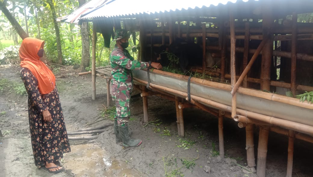 Satgas TMMD Bojonegoro Dampingi Masyarakat Peternak Kambing