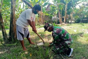 TMMD Kodim Bojonegoro, Ini Manfaat Tanaman Porang