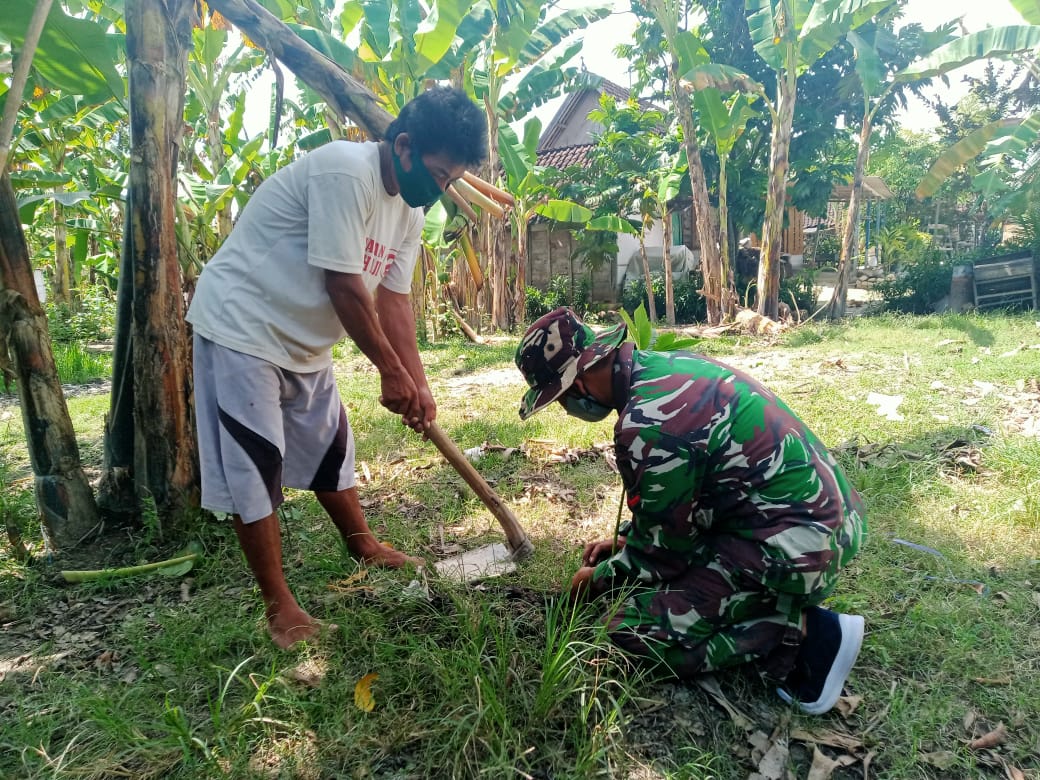 TMMD Kodim Bojonegoro, Ini Manfaat Tanaman Porang