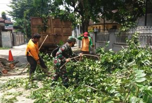 Antisipasi Pohon Tumbang Bati Komsos Koramil 03 Serengan, Bersama DLH dan Linmas Lakukan Penebangan