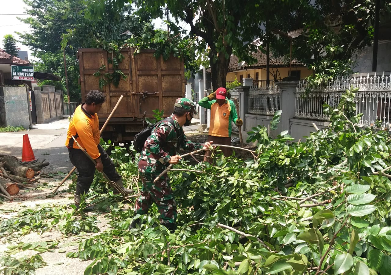 Antisipasi Pohon Tumbang Bati Komsos Koramil 03 Serengan, Bersama DLH dan Linmas Lakukan Penebangan