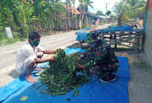 Satgas TMMD Bojonegoro Bantu Keringkan Daun Sirih Milik Warga