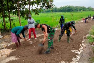 Gotong Royong, Satgas TMMD Bojonegoro Bersama Warga Ratakan Pasir Urug Perbaikan Jalan