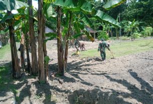 Manunggal, Satgas TMMD Bojonegoro Bersama Masyarakat Bersihkan Rumput Liar