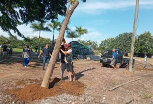 Sejukan Tiyuh Bersama masyarakat Aparatur Desa Tanam Pohon