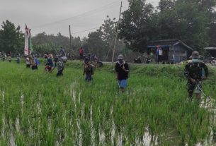 Usir Hama Wereng, Satgas TMMD Bojonegoro Bantu Petani Semprot Padi