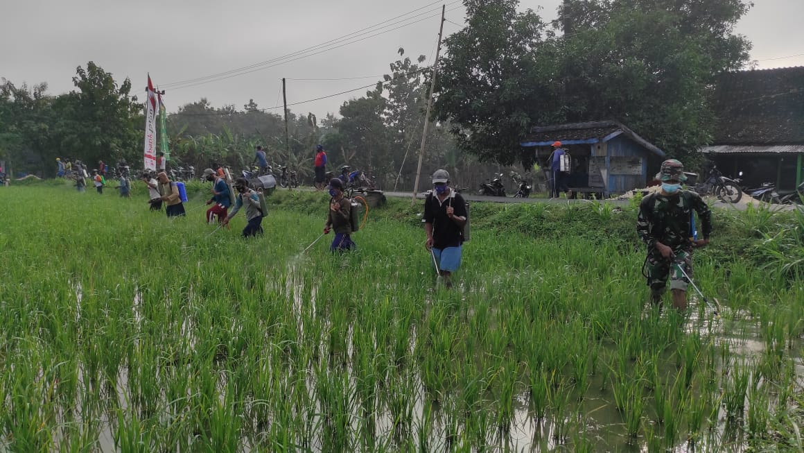 Usir Hama Wereng, Satgas TMMD Bojonegoro Bantu Petani Semprot Padi
