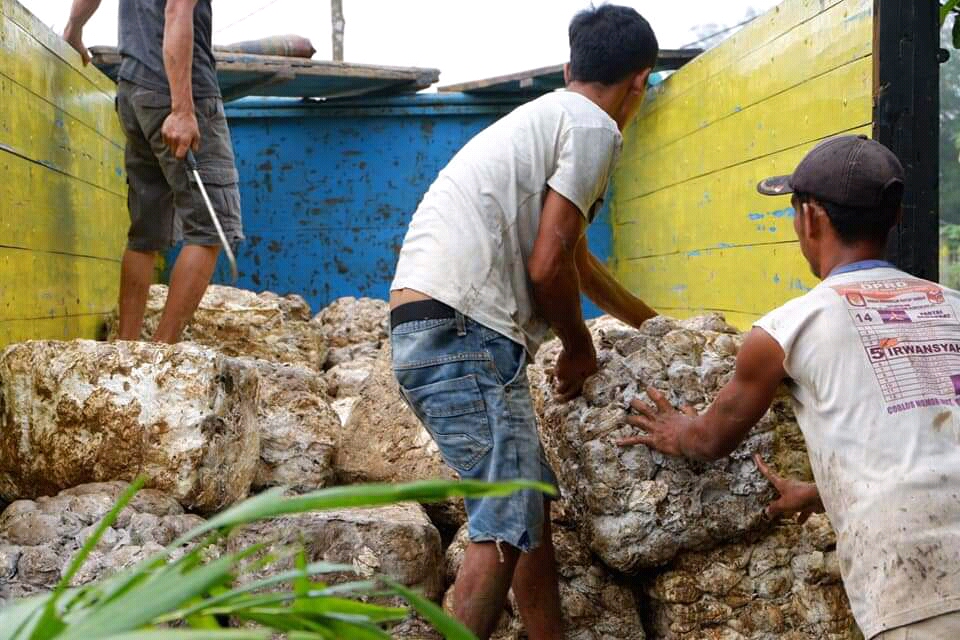 Camat Jirak Jaya Tinjau UPPB Langgeng Rahayu Jaya Dukung Kelompok Petani Karet.