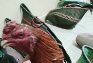 Lima Terduga Sabung Ayam Ditangkap Tekab 308