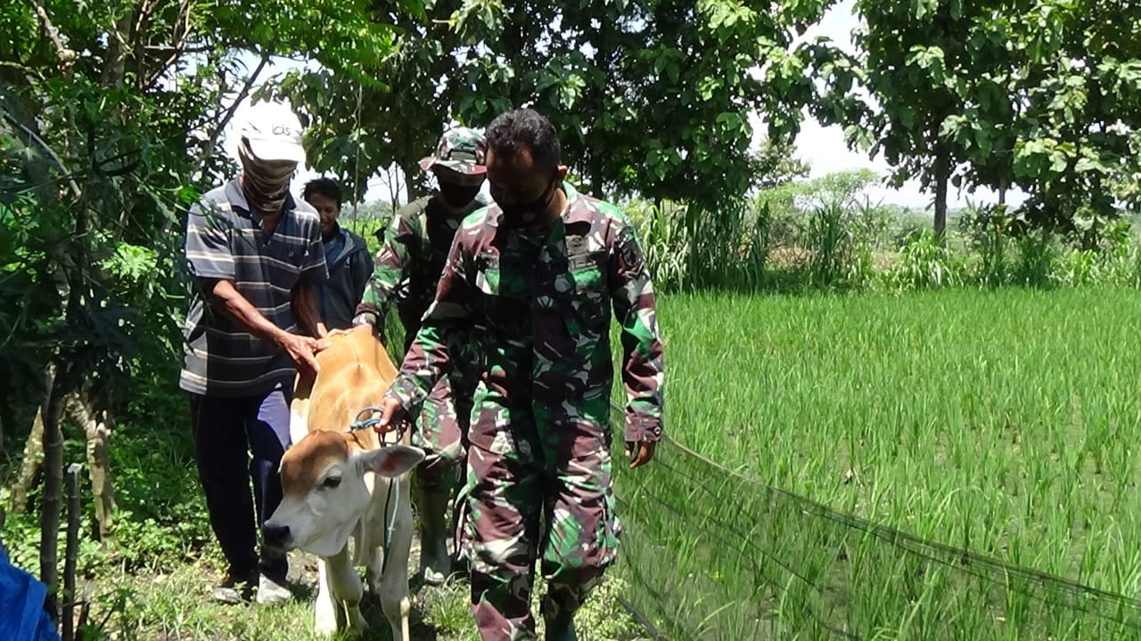 TMMD Bojonegoro, Sunarto : Terima Kasih Bapak TNI